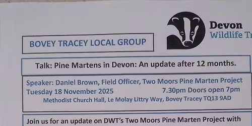 Pine Martens in Devon: An Update After 12 Months 