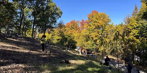 Schiller Park Community Tree Planting