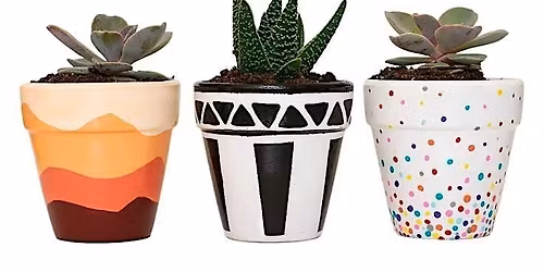 Pints\u2022Paints\u2022Pots\u2022Plants