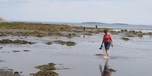 Big Tancook Island