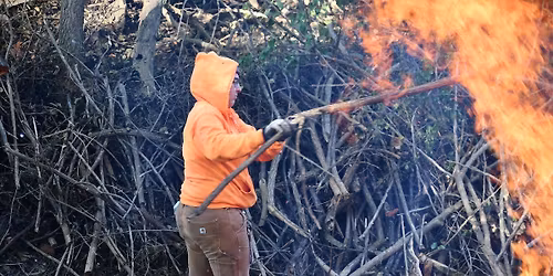 Volunteer Morning: Hickory Creek Preserve \u2014 LaPorte Road Access
