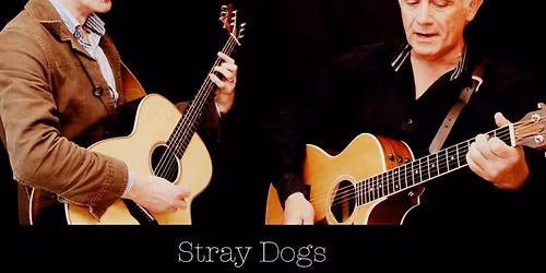 Stray Dogs - playing live!