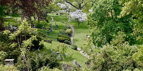 Discover Mount Auburn