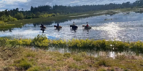 Syv\u00e5rss\u00f8erne og Frederiksh\u00e5b Plantage