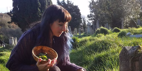 Hedgerow and Grassland Foraging Workshop