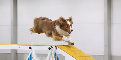 Lagun perinteiset vappukisat