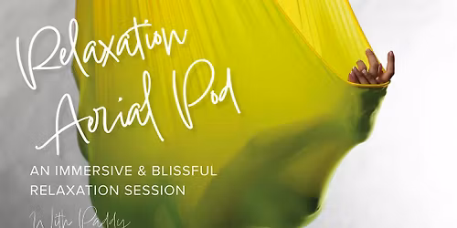 Aerial Relaxation Pod: Winter Wonderland