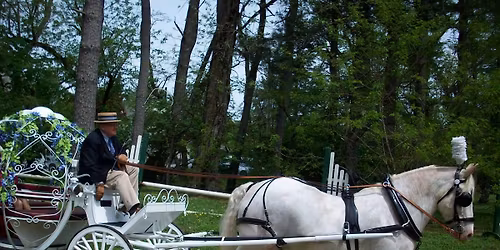 Wissahickon Day Parade