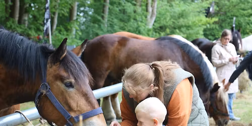 Fjerritslev Dyrskue 2026