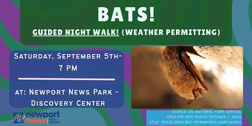 Bats!