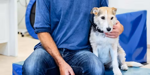 Doc Stefan Oetjen: Tierische Geschichten, Tipps und Tricks aus meinem Berufsleben