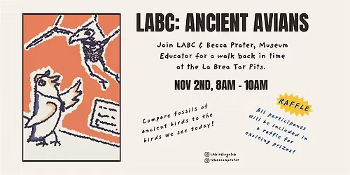 Ancient Avians Birdwalk with LABC