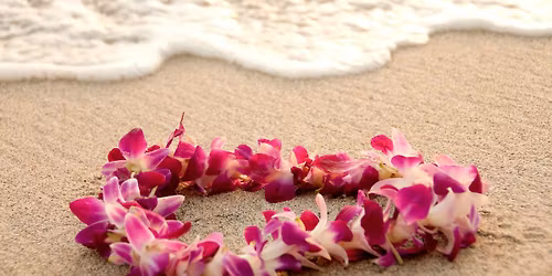 Winter Beach Bash Herd Social