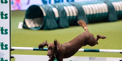 Agility Taster Workshop with Katherine 