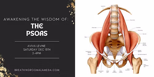 Awakening The Wisdom Of The Psoas