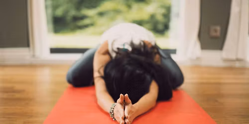 Pranic Awakening 200 Hour Yoga + Ayurveda Training
