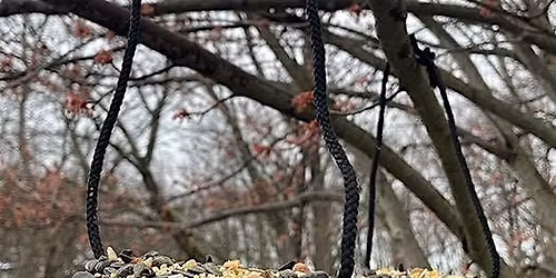 STEM Fun: Bird Feeders