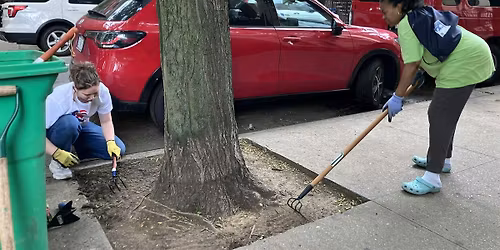 STC w\/ Lex & 3rd Block Association