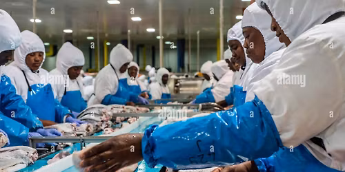 Ladies Day - a new production by Lapworth Players