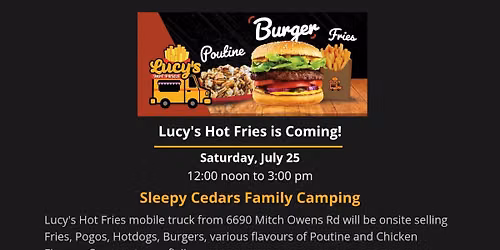 Lucy's Hot Fries