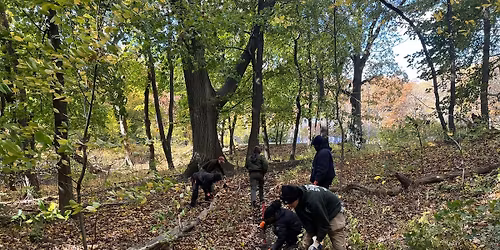 Forest Park Super Steward: Pathkeeper Training