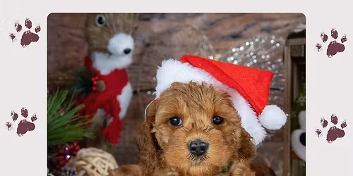 Cheltenham Christmas Gift Market