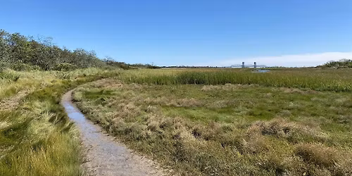 November CleanSweep: Plumb Beach Shoreline & Greenway Cleanup