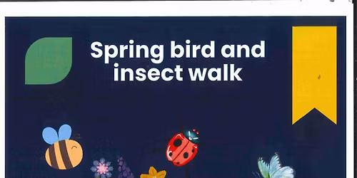 Spring bird and insect walk