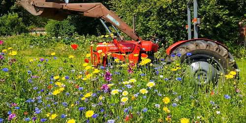 Spring Festival at the Walled Garden