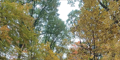 Treats & Trails