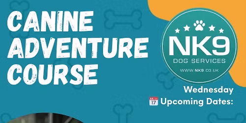 Canine Adventure course! CHRISTMAS SPECIAL!