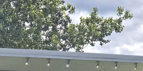 The Heartland Harmony Concert