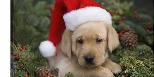 Unique Artisans 42nd Annual Christmas Craft Show