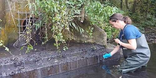 Harrogate Outfall Safari: Results & Update