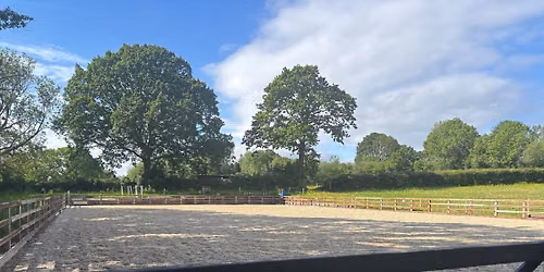 Pole-work to improve flatwork clinic