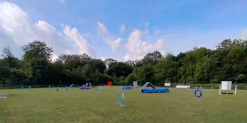 Concours Agility Moyeuvre Grande