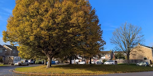 SMRARA Great British Spring Clean Litter Pick.