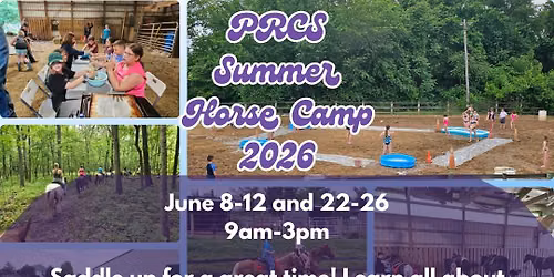 PRCS Summer Horse Camp 