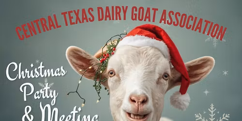 CTDGA Christmas Party & Meeting