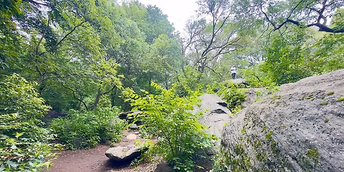 Mindful Nature Journaling Hike \/ Central Park (Manhattan)