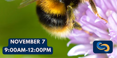 First Saturday - November: Pollinator Paradise (Attract Backyard Wildlife)
