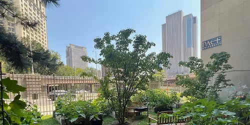 Cultivating Justice @ The Pace Land and Labor Acknowledgement Farm