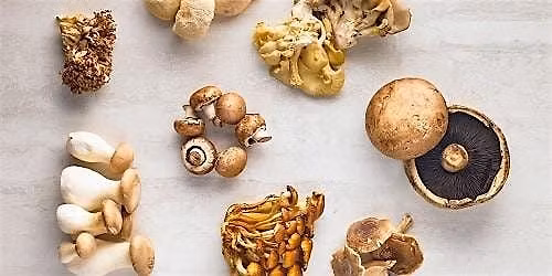 Learn @ Lunch: Mushroom Madness