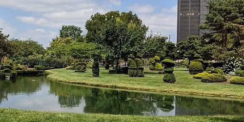 Art in the Park: Cyanotype \/ Alternative Photography