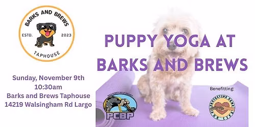 Puppy Yoga with Protecting Paws