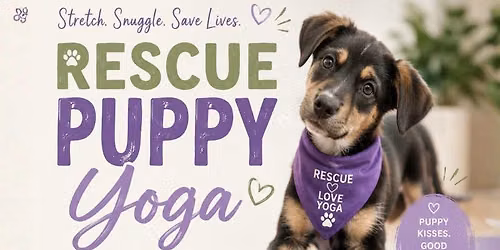 Rescue Puppy Yoga Adoption\/Donation Event