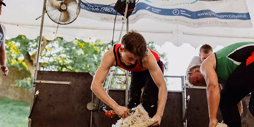 Bridgend show speed shearing 