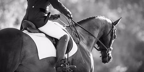 Winter Solstice Dressage Schooling Show
