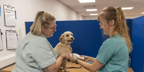 Mock OSCE Day 5th December 2025