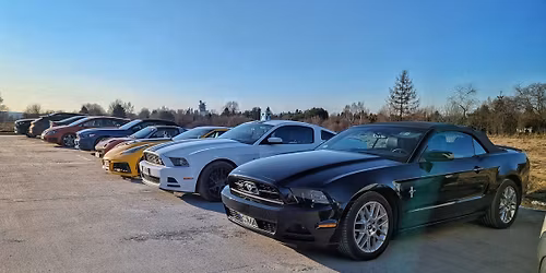 Global Mustang Day 2026 | Trip Pomorskich Mustang\u00f3w